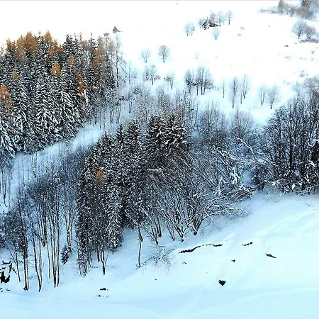 Chaleureux, Skis Aux Pieds, Balcon Sud Avec Vue Pistes - Fr-1-267-192 *